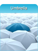 Umbrella Company Structure